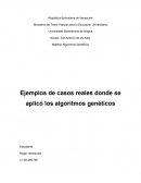 Ejemplos de casos reales donde se aplicó los algoritmos genéticos