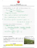 Aplicación de reglas del producto y cociente en el cálculo del ingreso y su variabilidad en Liberteña DANPER