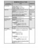 Cuadro morfología 4º ESO