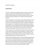 Creación de plan de negocios