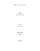 Tipos de sociedad y empresa