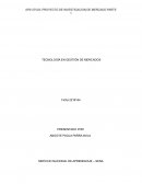 TECNOLOGÍA EN GESTIÓN DE MERCADOS