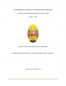 INTERNACIONALIZACIÓN DE LA AGENCIA PUBLICITARIA “GRIZZLY”