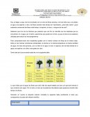 Actividad de plan de mejoramiento ”Metodo científico”