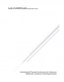 Ensayo sistemas juridicos