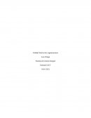 Sistema de gestion integrado