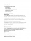 Tipos de empresas en Сhile