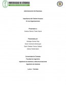 Importancia del Talento Humano En las Organizaciones