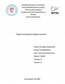 Programa de abordaje de inteligencia emocional