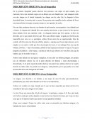 PEC 1: Educación Intercultural: Miradas educativas a la diversidad