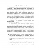 Anatomía Funcional del Sistema Nervioso