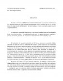 Desiciones Directivas All Star Sports Catalog Division