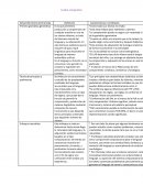 Desarrollo teoria de chomsky