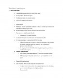 La cárcel como pena