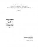 Anatomía y fisiología del sistema nervioso