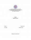 INFORME DE ASEGURAMIENTO DEL CONTADOR PÚBLICO INDEPENDIENTE