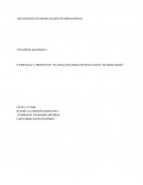 Evidencia 54 planeacion para investigacion de mercados