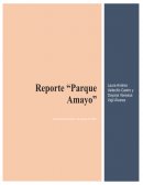 Parque eólico Amayo