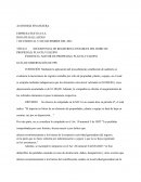 AUDITORÍA FINANCIERA EMPRESA SEXTO A S.A.