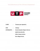 EL PROCESO Y SU REPRESENTACIÓN GRUPAL
