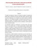 Productividad pastor aleman