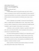 Planificación de integración NIvel Inicial