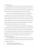 Embriogénesis somática
