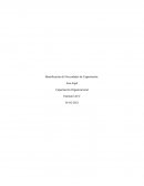 Detección de necesidades de capacitación (DNC)