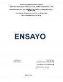 Ensayo Derechos Humanos