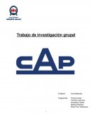 Plan de marketing empresa CAP S.A