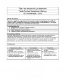 Plan de desarrollo profesional