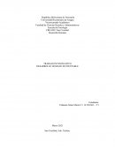 Desarrollo Humano sustentable