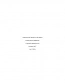 Legislación Infantojuvenil