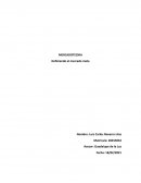 DEFINIENDO EL MERCADO META . La leche LALA