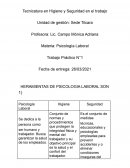 TRABAJO PRACTICO DE PSICOLOGIA LABORAL