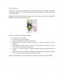 Secuencia de texto narrativo para terecer grado