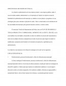 OBJETIVOS DEL MUNICIPIO DE TESALIA