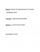 Diseño de Organizaciones y Procesos - Modalidad Online
