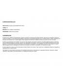 Planificacion anual plastica primario