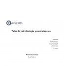 Taller de psicobiología y neurociencias