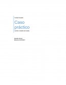 Caso práctico Control y Gestión de Costes