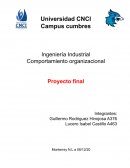 Ingenieria en sistemas