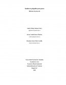 Sombrero plegable para pesca Informe de proyecto