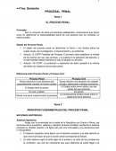 Procesal penal guia