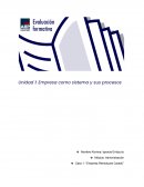 Empresa como sistema y sus procesos. Remolques Caradú