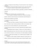 Estrategia de la empresa Plantas en Casa