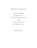 Resumen los cuatro acuerdos