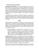 Fisiopatologia de la sangre