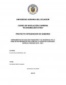 HERRAMIENTAS DE ANÁLISIS FINANCIERO Y SU INCIDENCIA EN LA TOMA DE DECISIONES EN UNA PYME EN LA CIUDAD DE GUAYAQUIL, ENTRE EL PERIODO 2019 – 2021