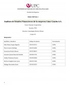 Análisis de Estados Financieros de la empresa Lima Caucho S.A.
